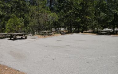 Cedar Bluff