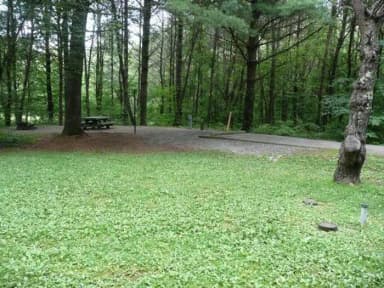 Stony Fork Campground