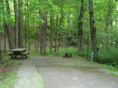Electric · Site 045 at Stony Fork Campground