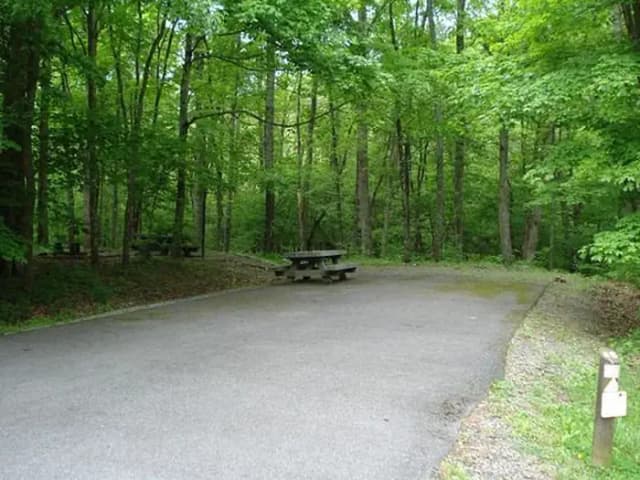 Stony Fork Campground