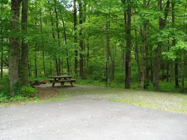 Stony Fork Campground