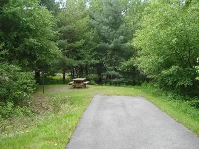 Stony Fork Campground
