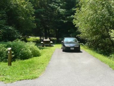 Stony Fork Campground