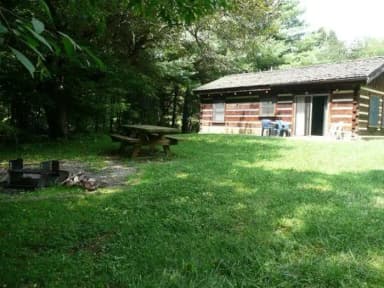 Loop SFC · Site 01 at Stony Fork Cabin