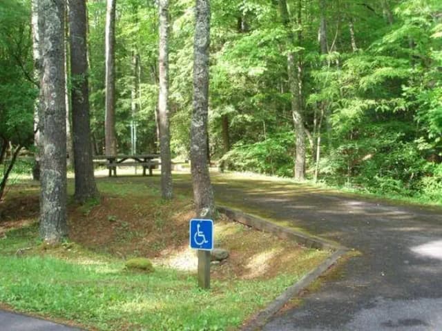 Accessible Site