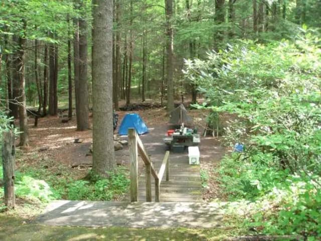 Secluded tent site with stairs