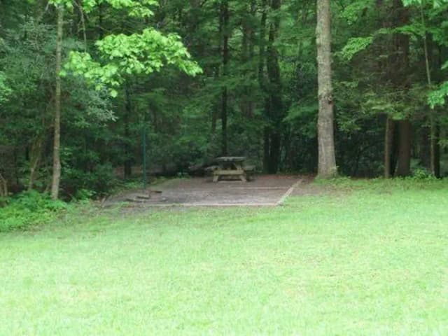 Tent only site with open field