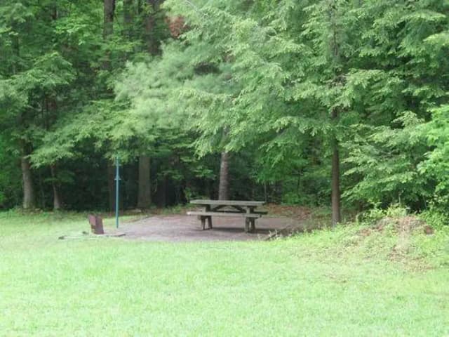 Tent only site with open field