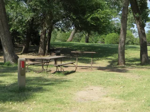 View of campsite 81
