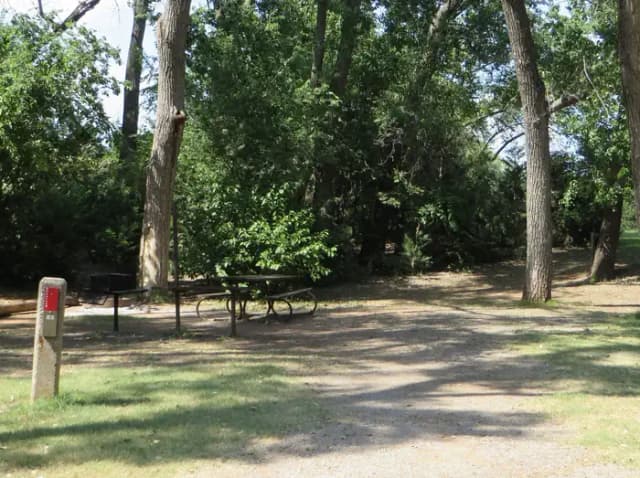 View of campsite 82