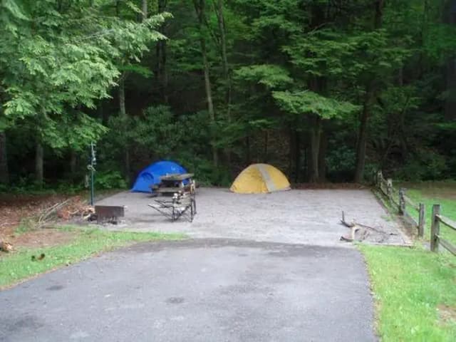 Large level site
