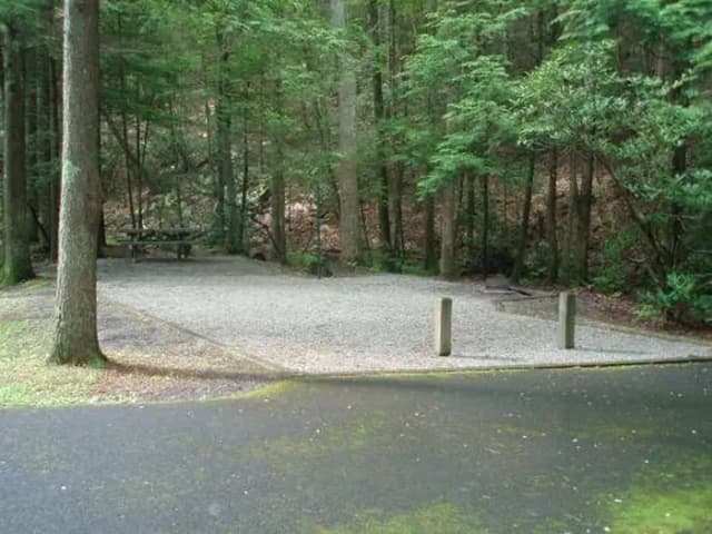 Level site with woods