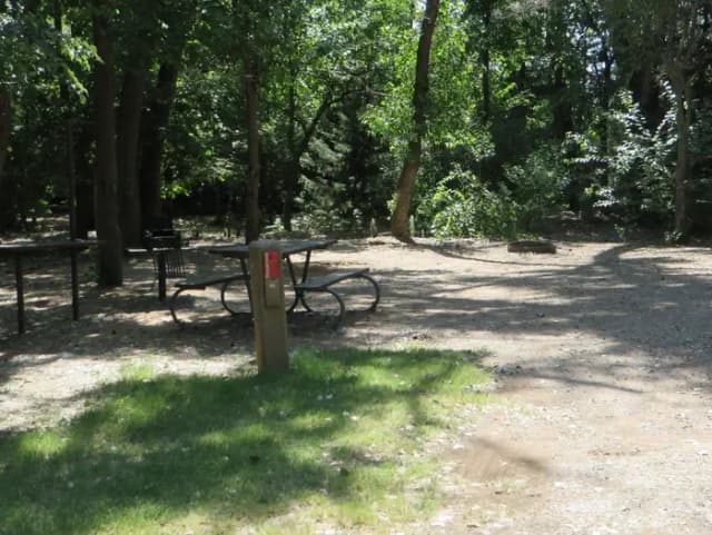 View of campsite 85