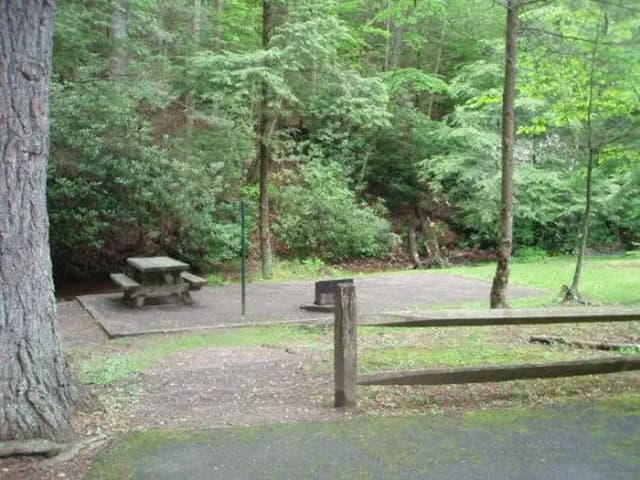 Tent only site near creek
