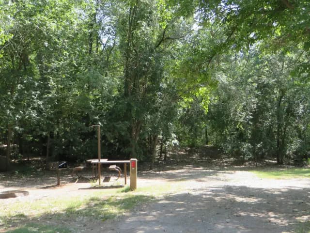 View of campsite 86