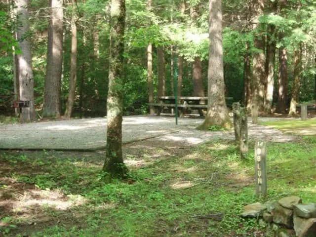 Level double tent site
