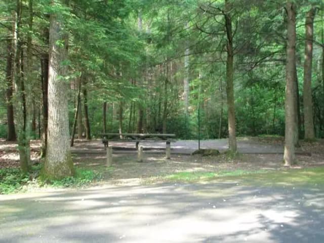 Level double tent site with woods