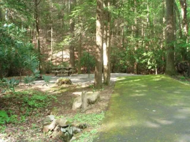 Level tent site with woods