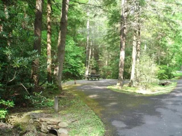 Pull-thru tent site with woods