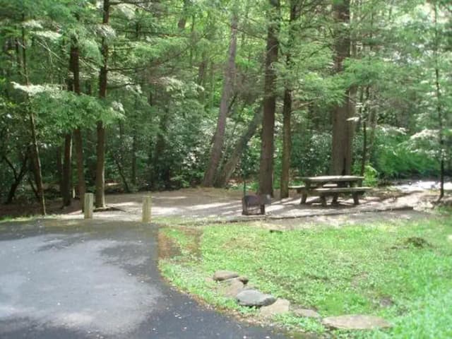 Level tent site next to creek