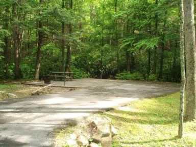 Level tent site near creek, filed by the agency against 2 campsites at Hurricane Campground