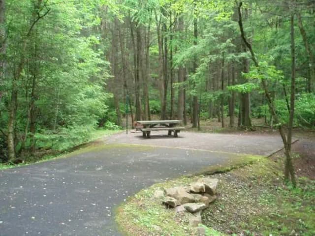 Tent site near creek