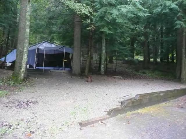 Tent site with stairs in woods