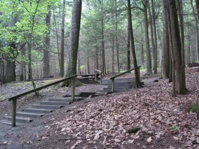 Secluded Tent only site with stairs