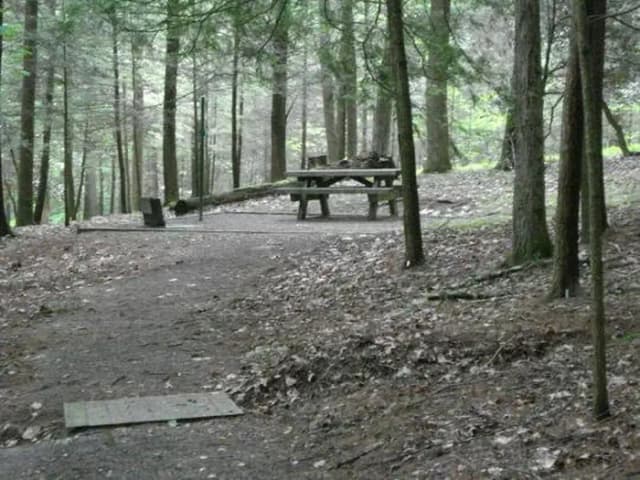 Secluded tent site with stairs and parking for only one vehicle