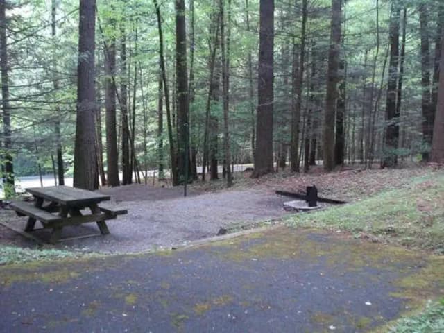 Tent site with stairs and parking for one vehicle only