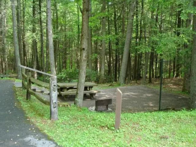 Site in woods with stairs