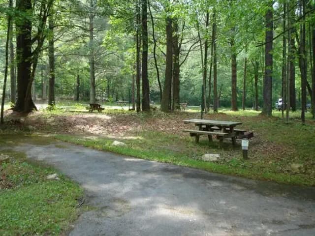 Raccoon Branch Campground