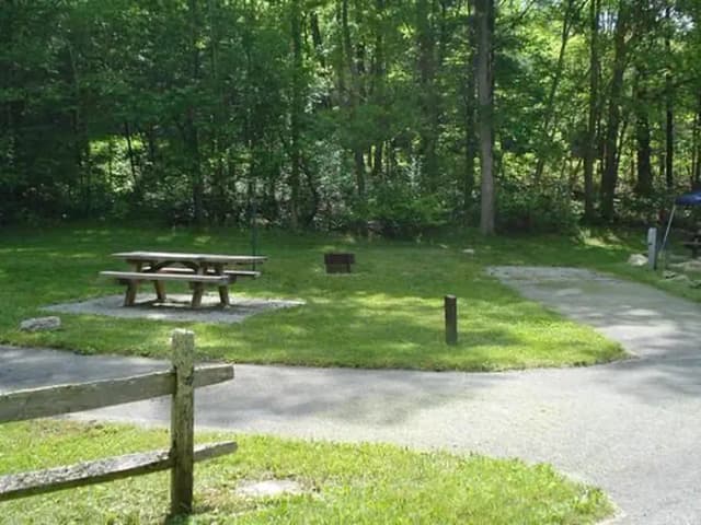 Raccoon Branch Campground