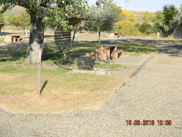 Upper Loop Sites 23-72 · Site 31 at Left Tailrace