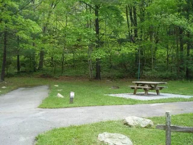 Raccoon Branch Campground