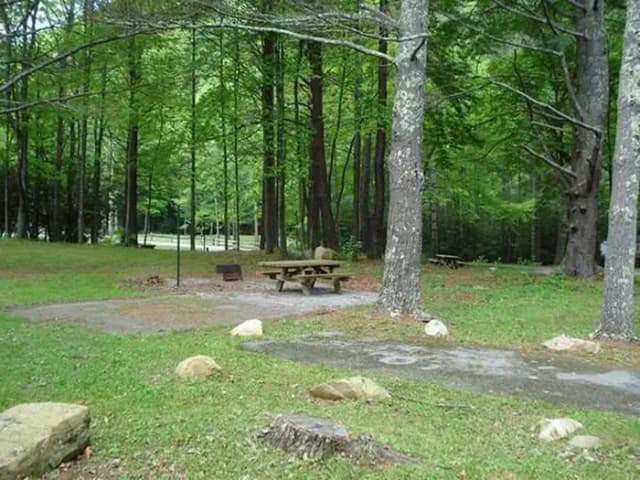 Raccoon Branch Campground