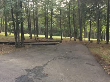 Site B08 at Piney Bay
