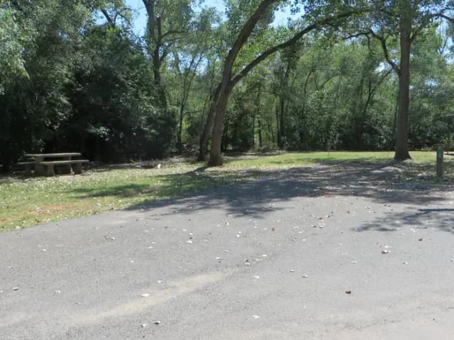 View of campsite 93