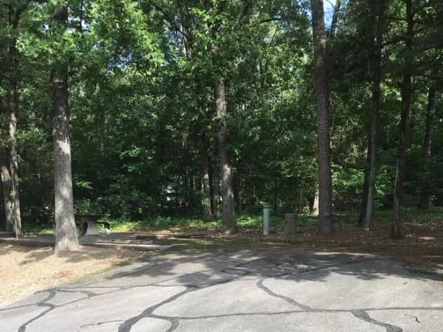 Site G03 at Piney Bay