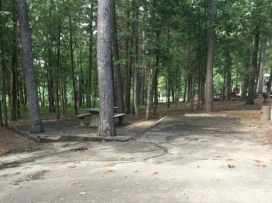Site G06 at Piney Bay