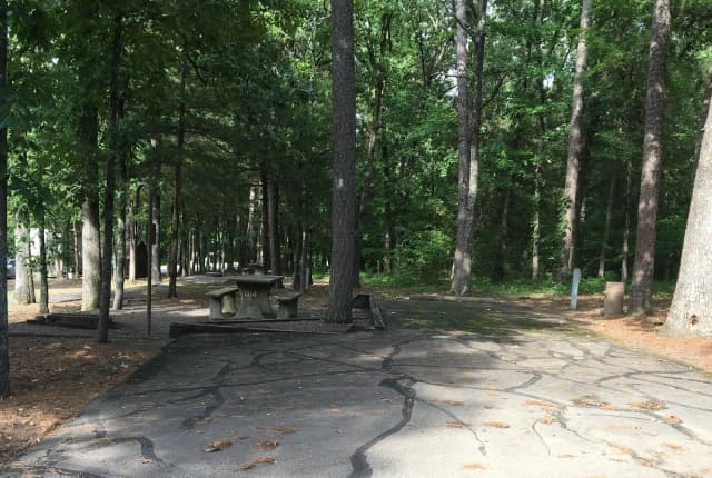 Site G14 at Piney Bay