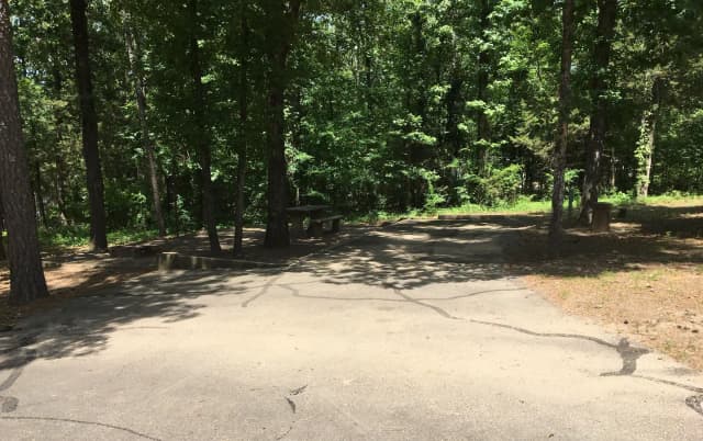 Site G16 at Piney Bay