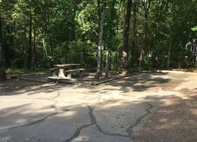 Site G18 at Piney Bay