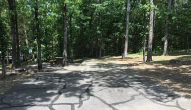 Site G20 at Piney Bay