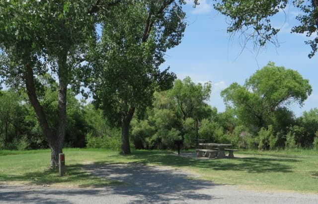 View of campsite 108