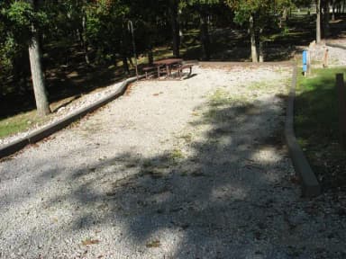 A029