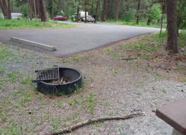Site 2 - fire ring