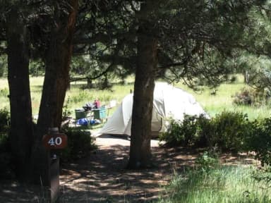 Site 040 at Rocky Mountain National Park Aspenglen Campground