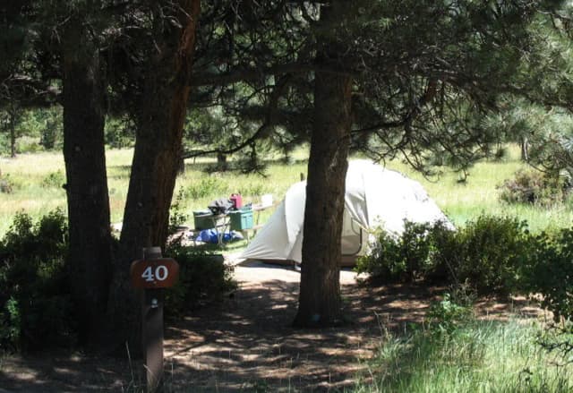 Site 040 at Rocky Mountain National Park Aspenglen Campground