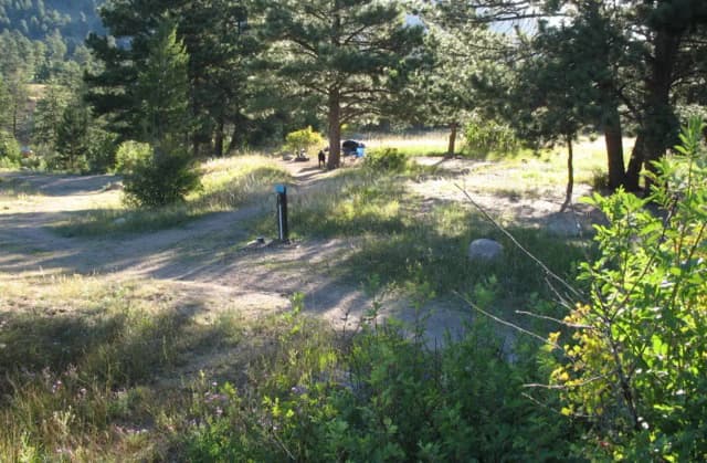 Site 043 at Rocky Mountain National Park Aspenglen Campground